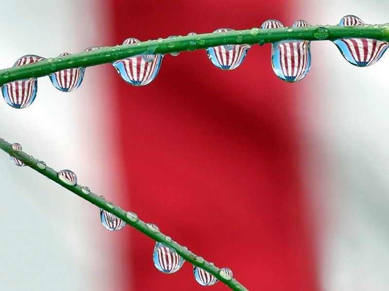 The US on Independence Day