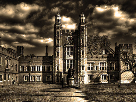 Parliament is the last place where we need establishment ‘groupthink’